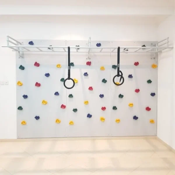 Climbing Wall Set with Monkey Bars & Gymnastics Rings