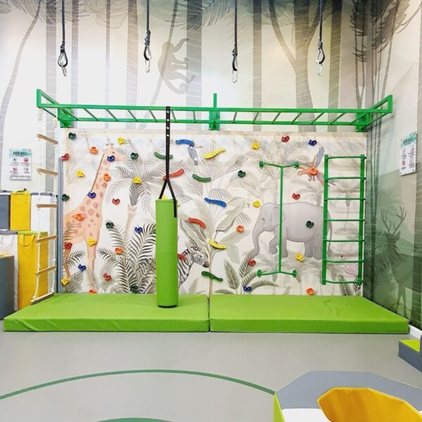 Sensory Climbing Wall With Monkey Bars & Graphic Wallpaper