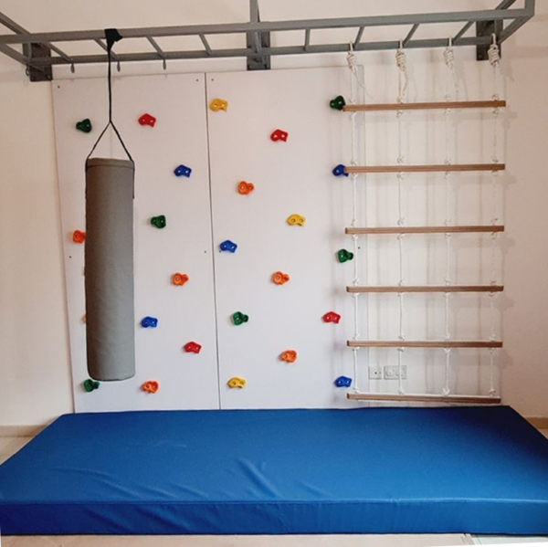 2 Panel Climbing Wall with Monkey Bars & Cargo Net