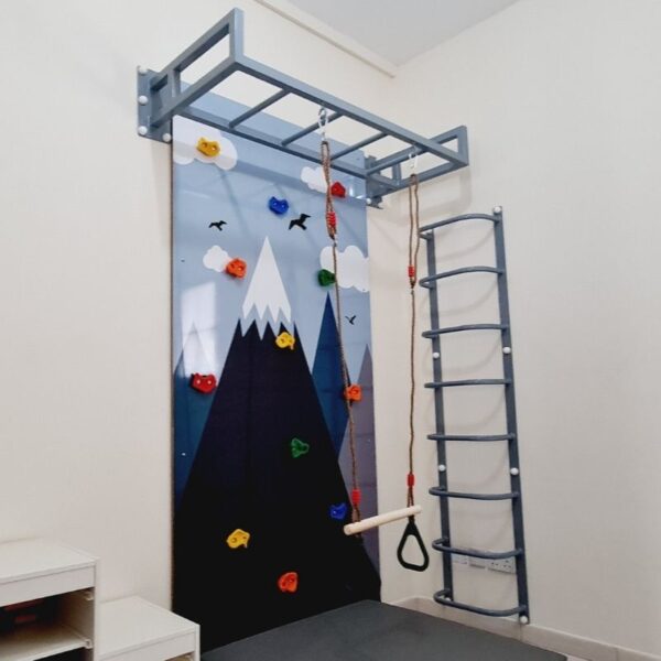 Climbing Wall Panel with Mountain Graphic, Ladder & Monkey Bar