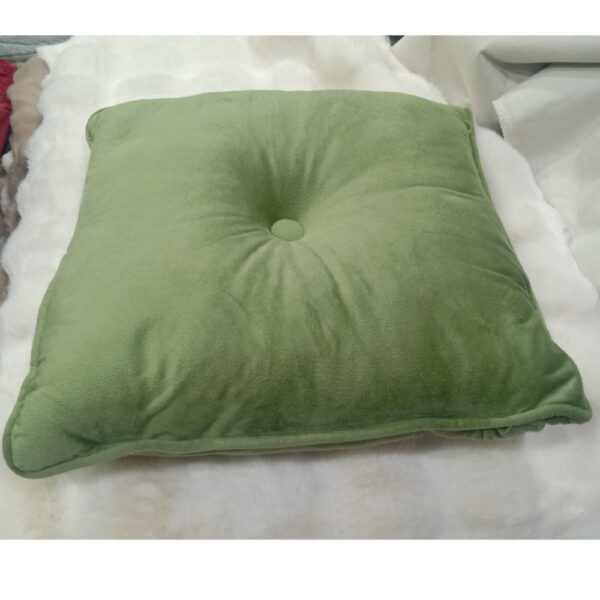 CUSHION 1